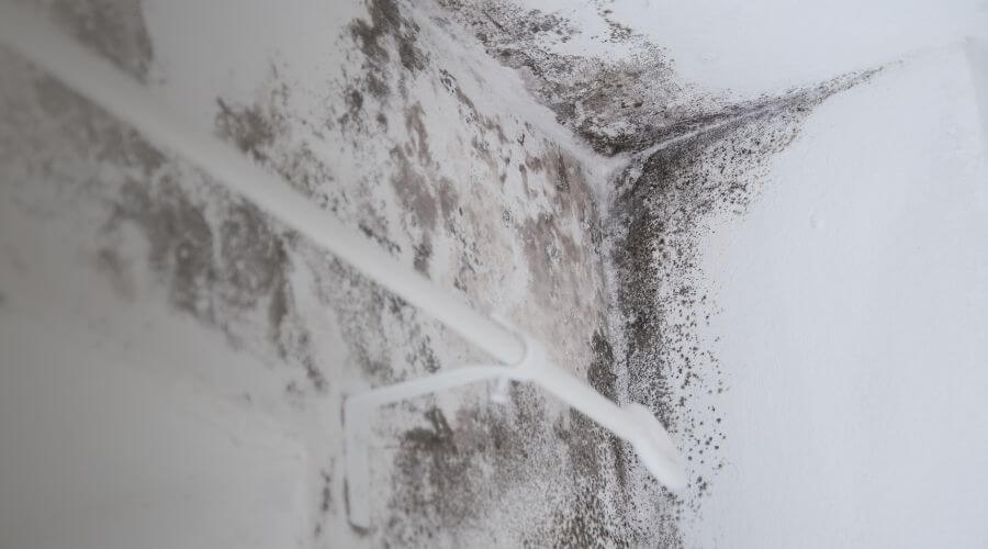 Why choose 24/7 Damage Control Services for water damage restoration in Huntington Beach